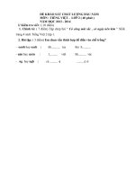 DE THI KIEM TRA CHAT LUONG DAU NAM