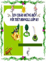 HĐNGLL của lớp 8/3 trường THCS Lê Hồng Phong (bài mẫu)
