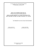 Báo cáo khoa học : Phân loại đồ thị phụ tải và phân tích phản ứng tiêu thụ điện lên biểu giá điện cho khu vực tp.hcm