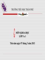 su sinh san cua hoa.ppt