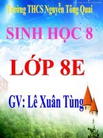 Bài 17. Tim và mạch máu (show_lxt)