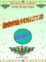 Phòng tránh tai nan giao thông đương bộ