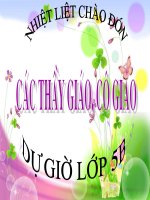 Tập đọc 5- tiếng đàn balalaicatren sông đà