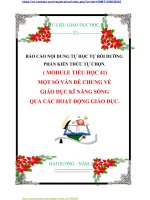 BÁO CÁO NỘI DUNG TỰ HỌC TỰ BỒI DƯỠNG PHẦN KIẾN THỨC TỰ CHỌN.  ( MODULE TIỂU HỌC 41) MỘT SỐ VẤN ĐỀ CHUNG VỀ  GIÁO DỤC KĨ NĂNG SỐNG QUA CÁC HOẠT ĐỘNG GIÁO DỤC.