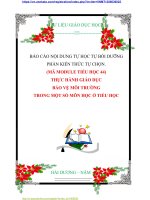 BÁO CÁO NỘI DUNG TỰ HỌC TỰ BỒI DƯỠNG PHẦN KIẾN THỨC TỰ CHỌN.    (MÃ MODULE TIỂU HỌC 44) THỰC HÀNH GIÁO DỤC BẢO VỆ MÔI TRƯỜNG  TRONG MỘT SỐ MÔN HỌC Ở TIỂU HỌC