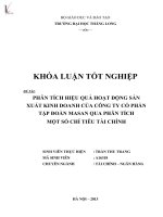 phân tích hiệu quả hoạt động sản xuất kinh doanh của công ty cổ phần tập đoàn masan qua phân tích một số chỉ tiêu tài chính