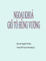 Ngoai khoa: Gio To Hung Vuong