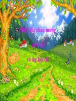 Quá trình hình thành đất