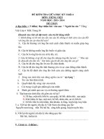 De kiem tra giua ki I mon Tieng viet