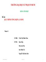 QUÁ TRÌNH TỔNG HỢP L- LYSIN