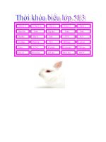 Thời khóa biểu lớp 5e3