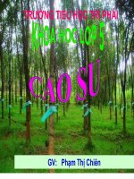 KHOA HOC LOP 4 TUAN 15