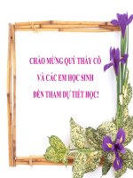 BAI 7 SU PHAT TRIEN LICH SU VA NEN VAN HOA DA DANG CUA AN DO