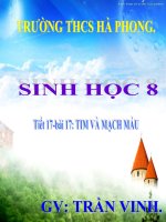 TIET 17 CAU TAO TIM VA MACH MAU