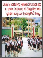 Chuyên đề sáng kiến kinh nghiệm