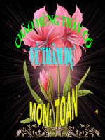 hang cua so thap phan