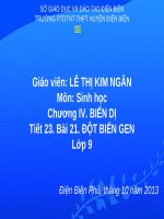 Bài 23. Đột biến gen- Sinh 9