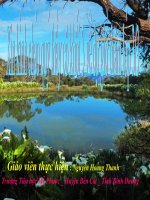 cảnh đẹp non sông chính tả