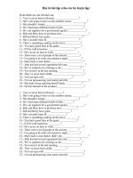 bài tập câu hỏi láy đuôi