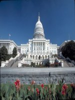 BAI 8 :  NƯỚC MĨ