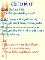 bài 18. biến dạng của thân