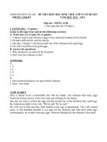 ĐỀ THI HSG CẤP HUYỆN AV 9 (TÍNH)