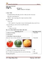 giáo án mĩ thuật tuần 8