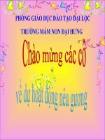 hoạt đông nêu gương mn