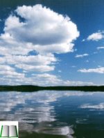 ôn tập truyện và kí