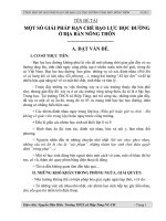 SKKN-MỘT SỐ GIẢI PHÁP HẠN CHẾ BLHĐ Ở NÔNG THÔN