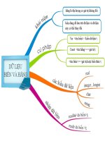 Sơ đồ tu duy ôn tập hằng và biến