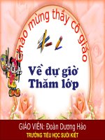 Bài 10 - TRANG TRÍ ĐỐI XỨNG QUA TRỤC.ppt