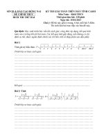 DE THI MTCT ĐỒNG NAI 2012 - 2013