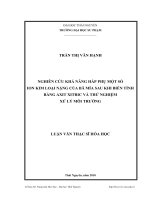 nghiên cứu khả năng hấp phụ một số ion kim loại nặng của bã mía sau khi biến tính bằng axit xitric và thử nghiệm xử lý môi trường