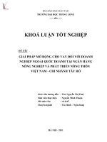 giải pháp mở rộng cho vay đối với doanh nghiệp ngoài quốc doanh tại ngân hàng nông nghiệp và phát triển nông thôn việt nam - chi nhánh tây hồ