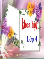 Bài :Phòng tránh tai nạn đuối nước