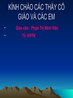 tiet 11 tiến hóa hệ vận động