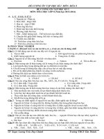 Đề cương ôn tập HKI (13-14)