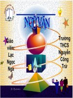 Lê Văn Thảo- ông cá Hô