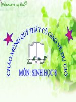 Bai 15 dong mau va nguyen tac truyen mau