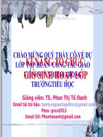 Kĩ năng tổ chức giờ sinh hoạt lớp