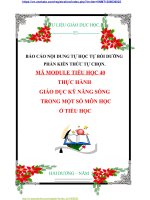 BÁO cáo nội DUNG tự học tự bồi DƯỠNG PHẦN KIẾN THỨC tự CHỌN  mã    mã MODULE TIỂU học 40 THỰC HÀNH GIÁO dục kỹ NĂNG SỐNG  TRONG một số môn học ở TIỂU học