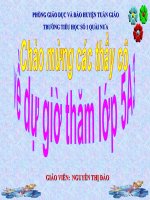 Bài giảng giáo viên dạy giỏi cấp tỉnh