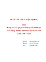 CÔNG TÁC ĐÀO TẠO PHÁT TRIỂN NGUỒN NHÂN LỰC TẠI CÔNG TY TNHH NHÀ NƯỚC MỘT THÀNH VIÊN THƯƠNG MẠIXUẤT NHẬP KHẨU VIETTEL