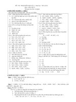 Tong Hop De Thi Hoc Ki Hoa