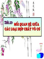 moi quan he cac hcvc