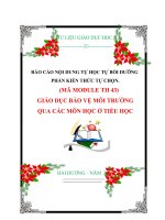 BÁO cáo nội DUNG tự học tự bồi DƯỠNG PHẦN KIẾN THỨC tự CHỌN mã MODULE 43   GIÁO dục bảo vệ môi TRƯỜNG QUA các môn học ở TIỂU học