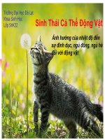 ảnh hưởng của nhiệt độ đến trạng thái ngủ đông ngủ hè