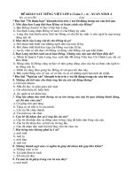 Đề khảo sát Tiếng Việt lớp 4