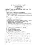 De kiem tra giua ki I mon Tieng Viet nam hoc 2013 - 2014